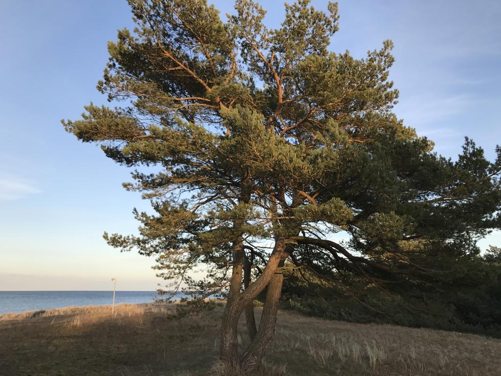 Zum Nordstrand Prerow Extérieur photo