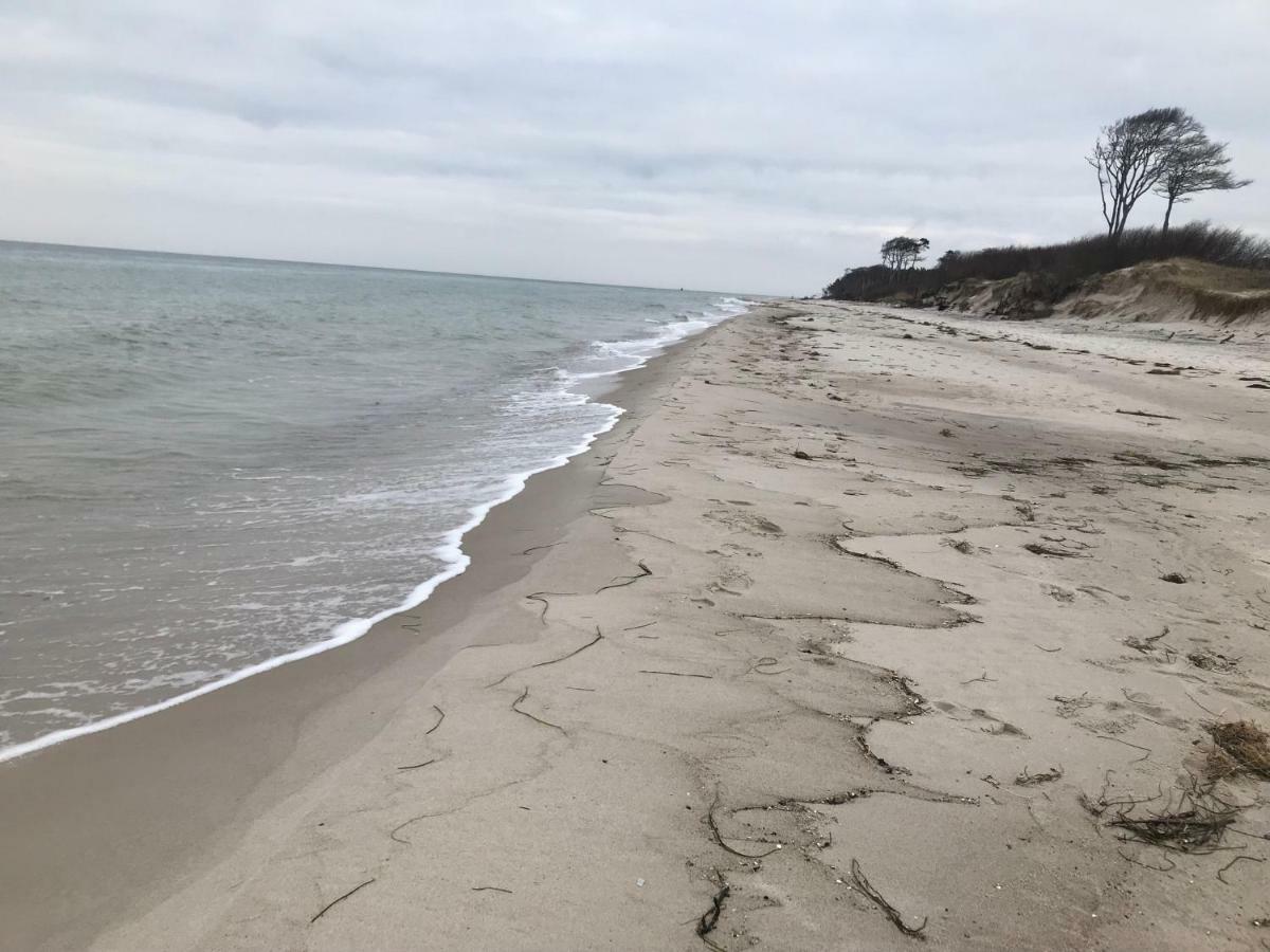 Zum Nordstrand Prerow Extérieur photo